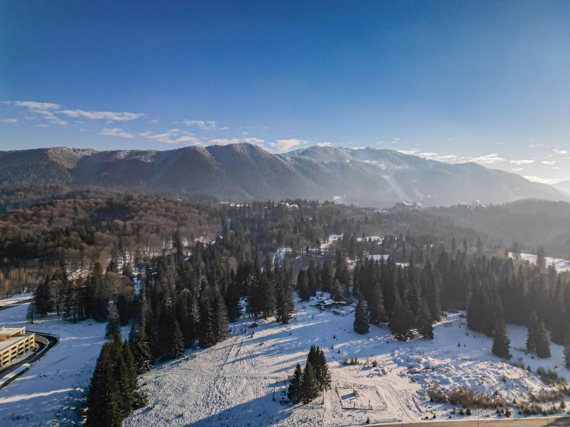 Albert Residence Aparthotel Grand Chalet With Free Spa Access To Alpin Resort Пояна-Брашов Экстерьер фото